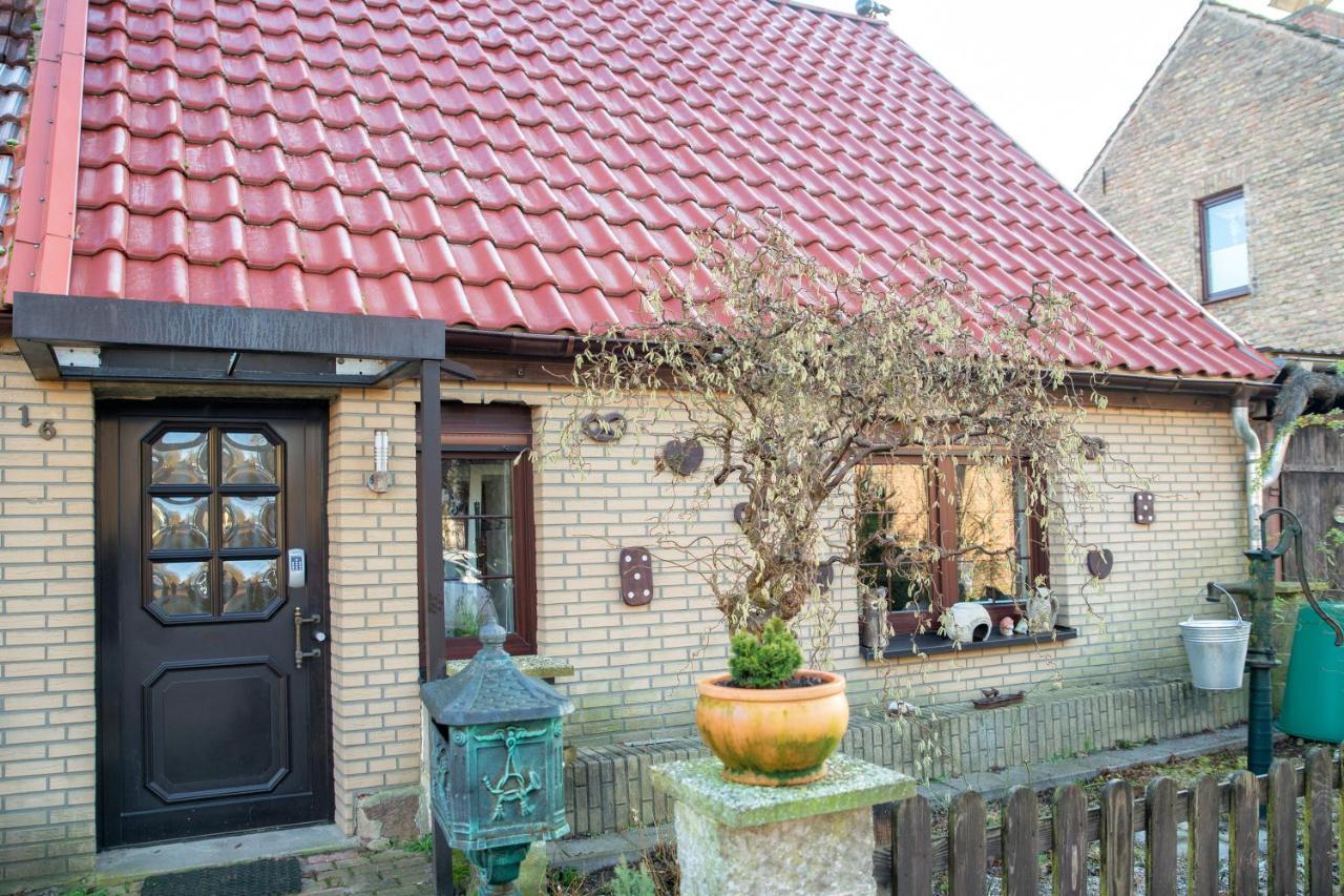 Ferienhaus Am Reiterhof Templin Luaran gambar